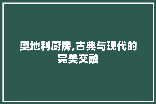 奥地利厨房,古典与现代的完美交融