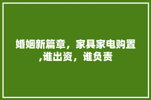 婚姻新篇章，家具家电购置,谁出资，谁负责