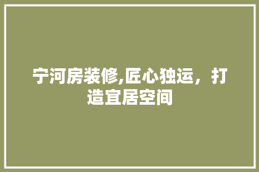宁河房装修,匠心独运，打造宜居空间