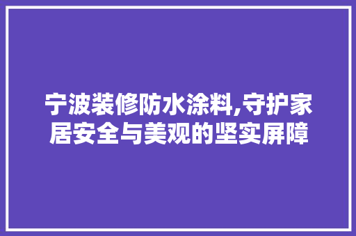 宁波装修防水涂料,守护家居安全与美观的坚实屏障