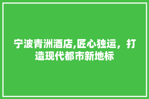 宁波青洲酒店,匠心独运，打造现代都市新地标