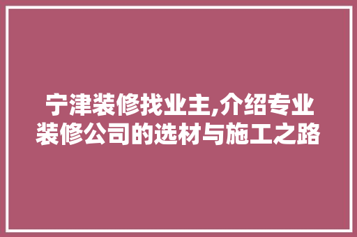 宁津装修找业主,介绍专业装修公司的选材与施工之路