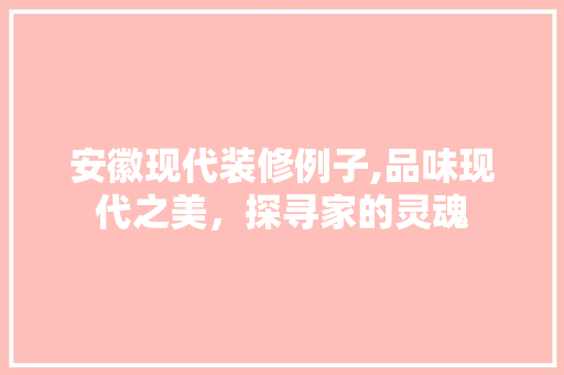 安徽现代装修例子,品味现代之美，探寻家的灵魂