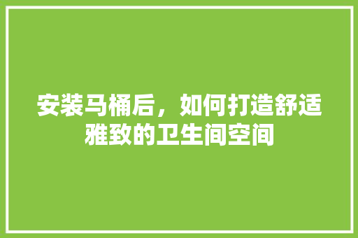 安装马桶后，如何打造舒适雅致的卫生间空间