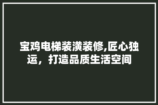宝鸡电梯装潢装修,匠心独运，打造品质生活空间