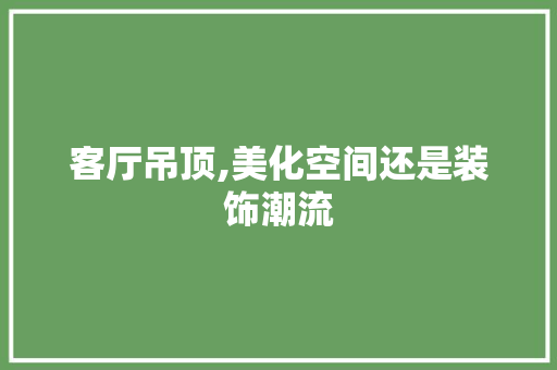 客厅吊顶,美化空间还是装饰潮流