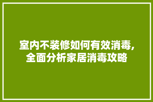 室内不装修如何有效消毒,全面分析家居消毒攻略