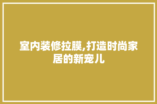 室内装修拉膜,打造时尚家居的新宠儿