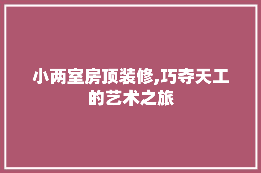 小两室房顶装修,巧夺天工的艺术之旅
