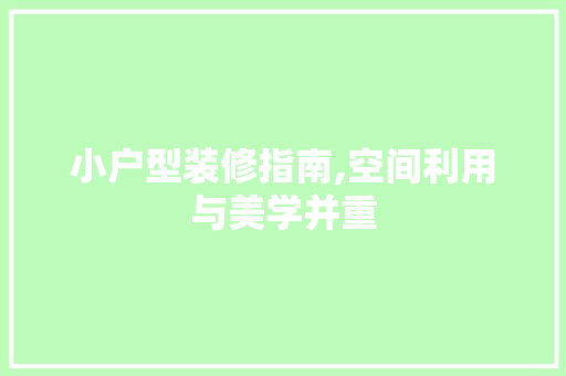 小户型装修指南,空间利用与美学并重