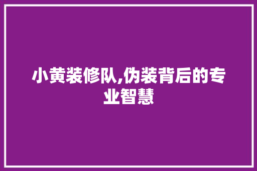 小黄装修队,伪装背后的专业智慧