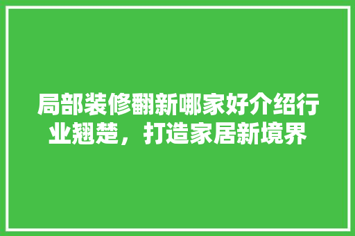 局部装修翻新哪家好介绍行业翘楚，打造家居新境界