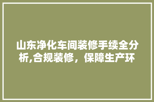 山东净化车间装修手续全分析,合规装修，保障生产环境安全
