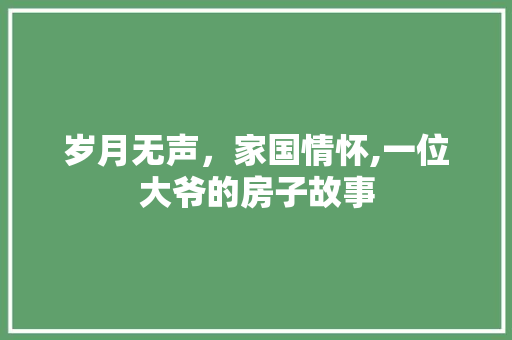 岁月无声，家国情怀,一位大爷的房子故事