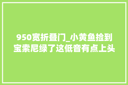 950宽折叠门_小黄鱼捡到宝索尼绿了这低音有点上头