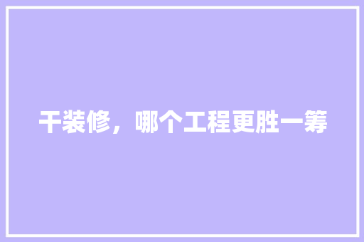 干装修，哪个工程更胜一筹