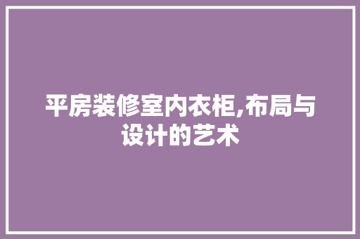 平房装修室内衣柜,布局与设计的艺术