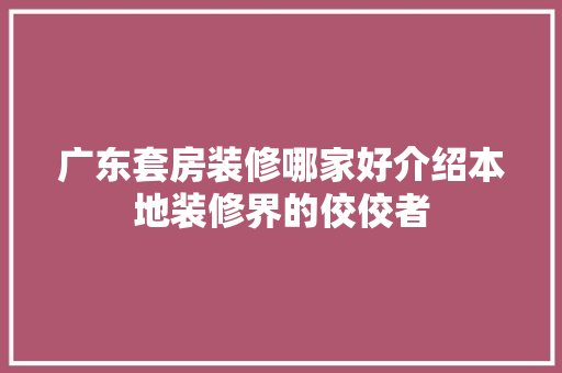 广东套房装修哪家好介绍本地装修界的佼佼者