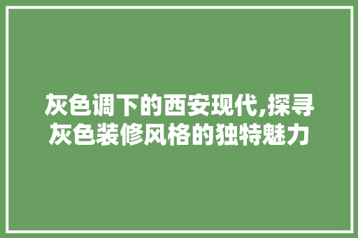 灰色调下的西安现代,探寻灰色装修风格的独特魅力