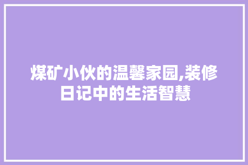 煤矿小伙的温馨家园,装修日记中的生活智慧