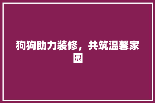 狗狗助力装修，共筑温馨家园