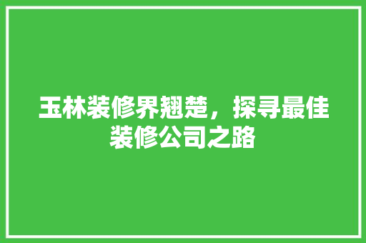 玉林装修界翘楚，探寻最佳装修公司之路