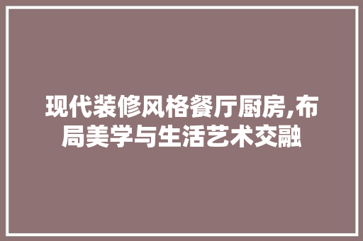 现代装修风格餐厅厨房,布局美学与生活艺术交融