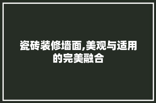 瓷砖装修墙面,美观与适用的完美融合