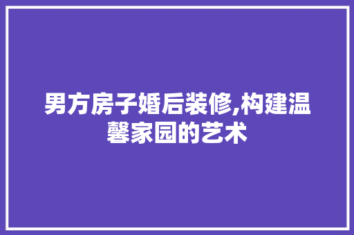 男方房子婚后装修,构建温馨家园的艺术