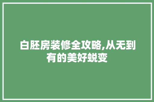 白胚房装修全攻略,从无到有的美好蜕变
