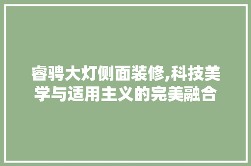 睿骋大灯侧面装修,科技美学与适用主义的完美融合