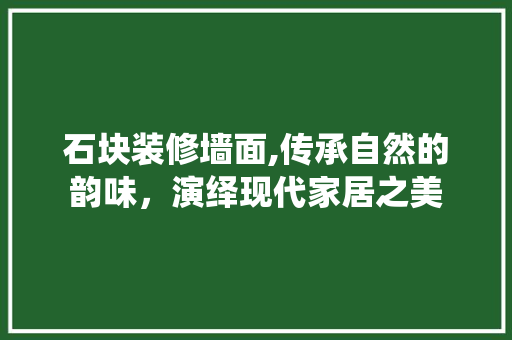石块装修墙面,传承自然的韵味，演绎现代家居之美