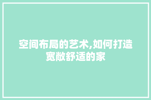 空间布局的艺术,如何打造宽敞舒适的家