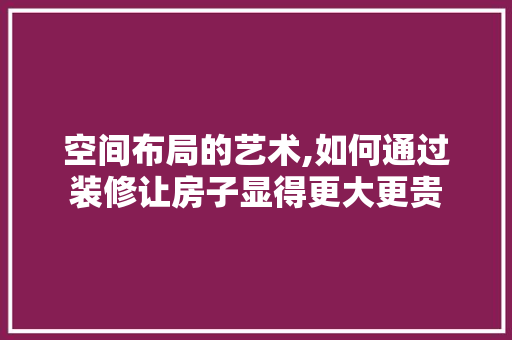 空间布局的艺术,如何通过装修让房子显得更大更贵