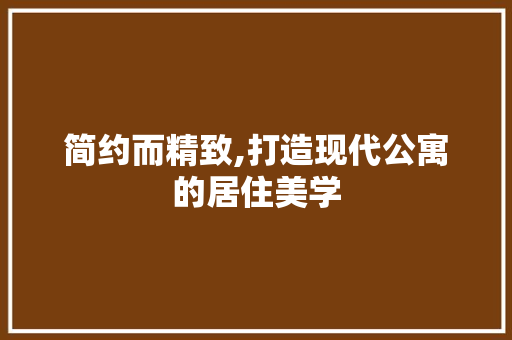 简约而精致,打造现代公寓的居住美学