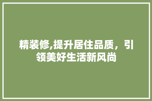 精装修,提升居住品质，引领美好生活新风尚