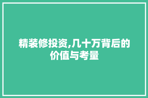 精装修投资,几十万背后的价值与考量