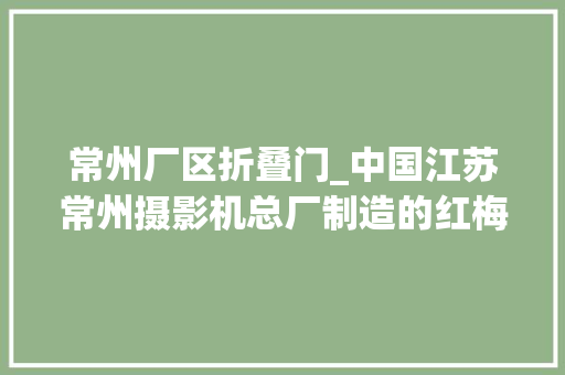 常州厂区折叠门_中国江苏常州摄影机总厂制造的红梅5双反照相机