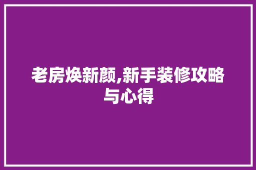 老房焕新颜,新手装修攻略与心得