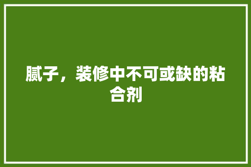 腻子，装修中不可或缺的粘合剂