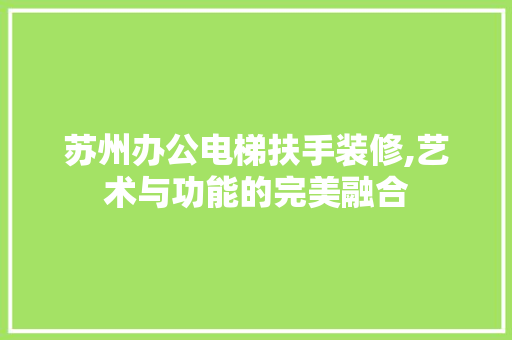 苏州办公电梯扶手装修,艺术与功能的完美融合