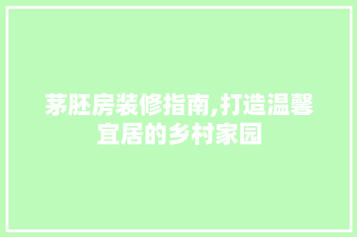 茅胚房装修指南,打造温馨宜居的乡村家园