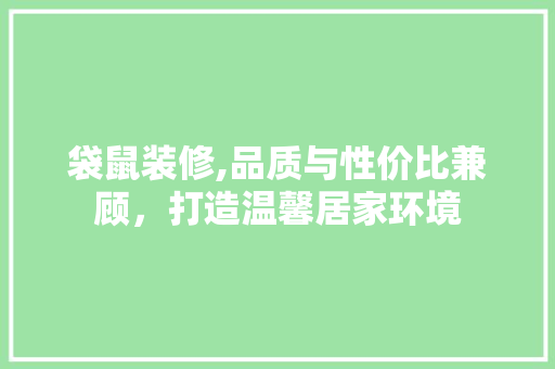 袋鼠装修,品质与性价比兼顾，打造温馨居家环境