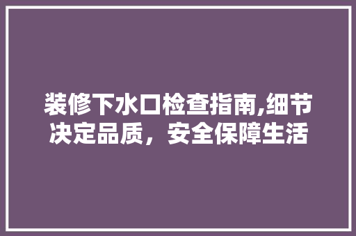 装修下水口检查指南,细节决定品质，安全保障生活