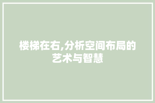 楼梯在右,分析空间布局的艺术与智慧