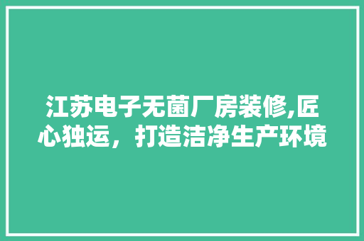 江苏电子无菌厂房装修,匠心独运，打造洁净生产环境