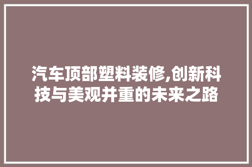 汽车顶部塑料装修,创新科技与美观并重的未来之路
