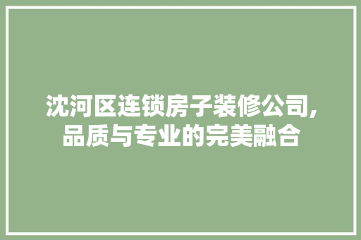沈河区连锁房子装修公司,品质与专业的完美融合