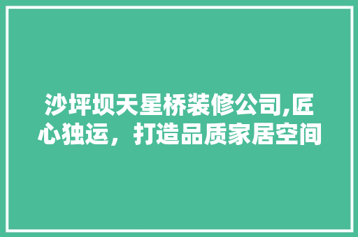 沙坪坝天星桥装修公司,匠心独运，打造品质家居空间