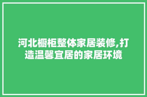 河北橱柜整体家居装修,打造温馨宜居的家居环境